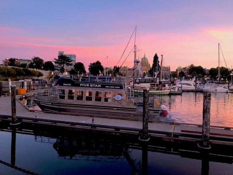 Victoria, BC: Sunset Whale Watching Tour - FAQs