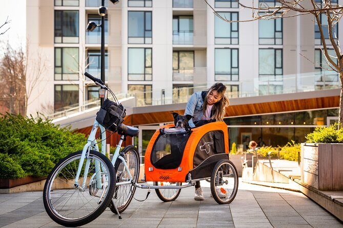 Victoria Bike Rental - E-Bike - Pedal Bike - Scooter - Tandem - Discovering Victoria on Two Wheels: An In-Depth Look