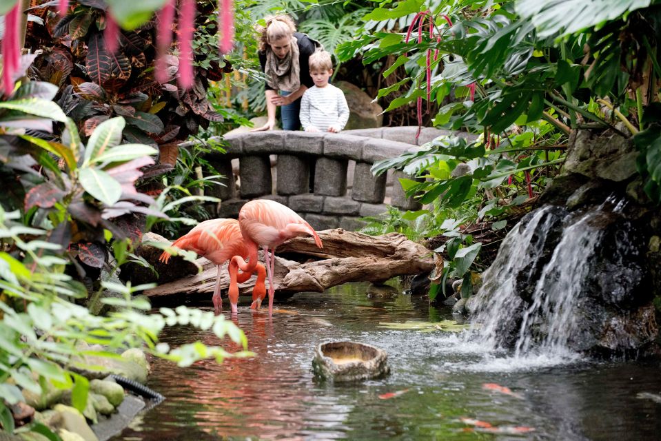 Victoria: Butterfly Gardens Admission Ticket - Key Features and Highlights