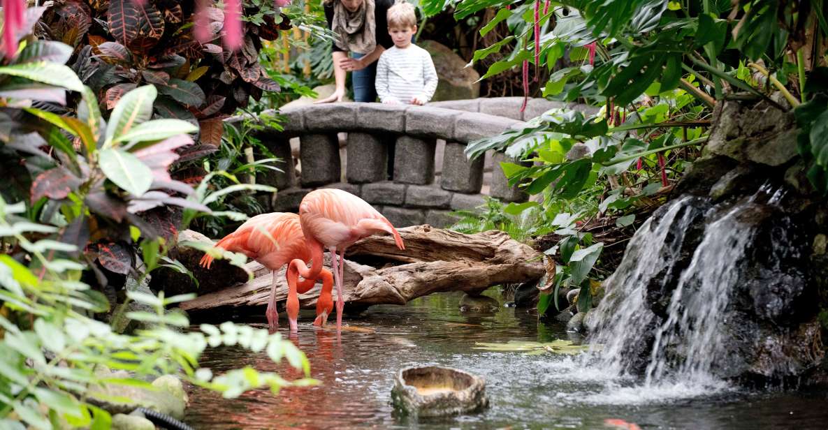 Victoria: Butterfly Gardens Admission Ticket - Admission and Booking Details