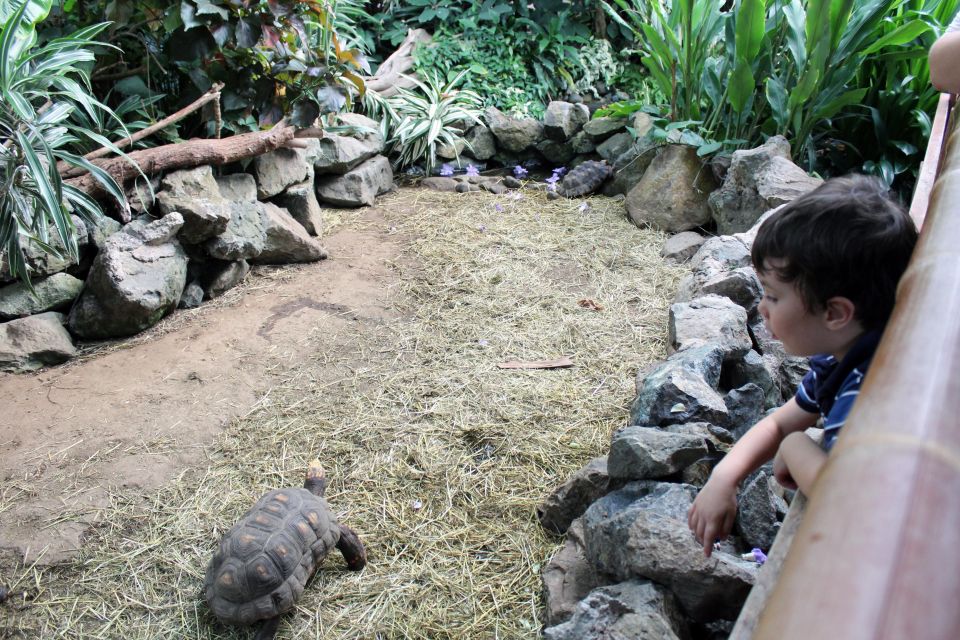 Victoria: Butterfly Gardens Admission Ticket - Preparing for Your Visit