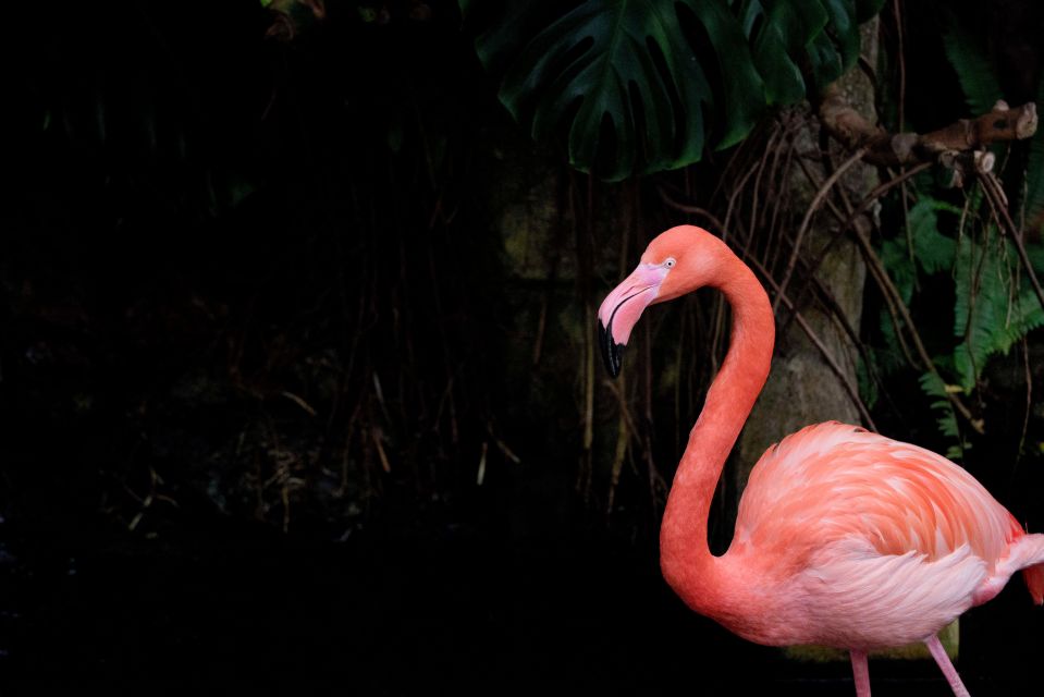 Victoria: Butterfly Gardens Admission Ticket - Frequently Asked Questions