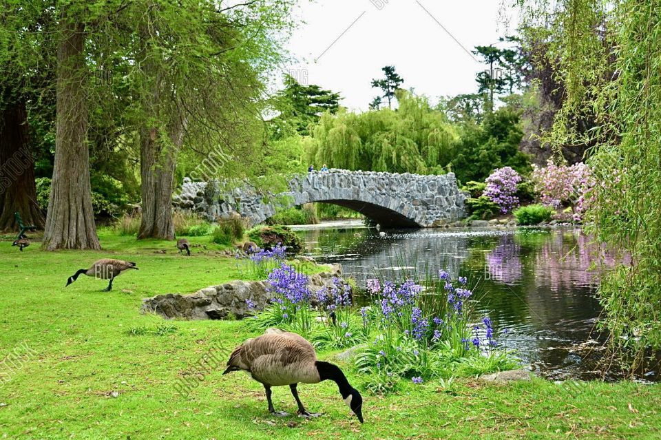 Victoria City Bike Tour: 2.5 Hr. History and Highlights Tour - Key Points