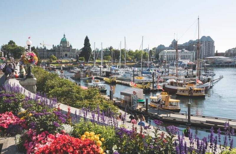 Victoria: City Highlights Walking Tour | 3-Hour - What You Can Expect from the Victoria City Highlights Tour