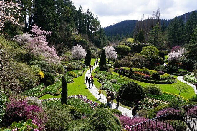 Victoria Day Trip with BC Ferries, Butchart Gardens & Downtown - A Deep Dive into the Victoria Day Trip