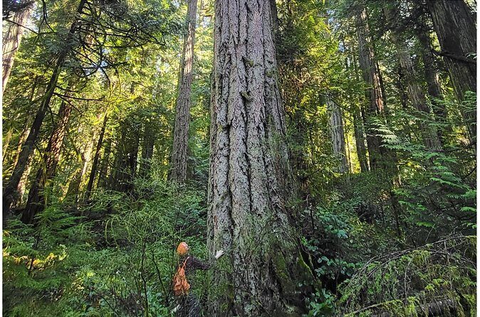 Victoria Ferry connector Waterfall Vista, Rainforest and Aquarium - FAQs
