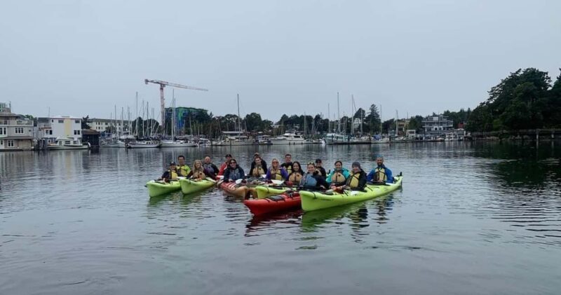Victoria: Guided Kayak Tour Adventure - Exploring Victoria’s Coast by Kayak: What You Can Expect