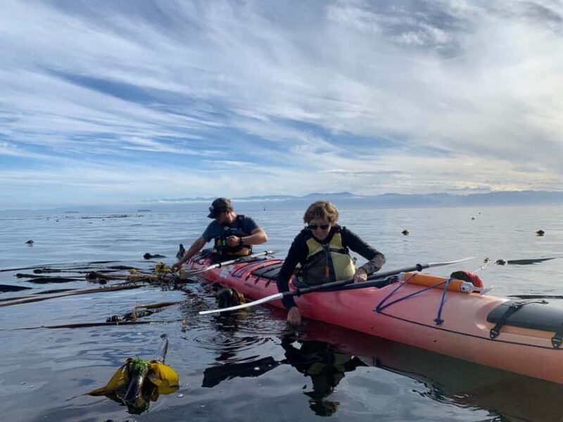 Victoria: Guided Kayak Tour Adventure - Wildlife Encounters and Nature