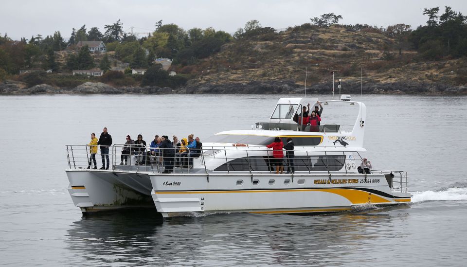 Victoria: Guided Whale and Wildlife-Watching Cruise - Exploring the West Coast