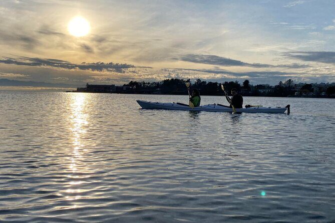 Victoria Harbour Sunset Kayak Tour - Why Travelers Love This Tour