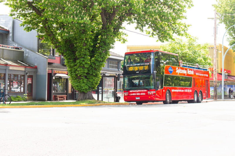 Victoria: Hop-On-Hop-Off Sightseeing Bus Tour - An engaging way to see Victoria
