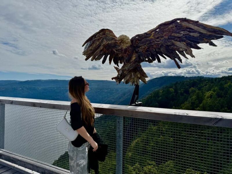 Victoria: Malahat Skywalk & Iconic Landmark Tour - An In-Depth Look at the Tour Experience