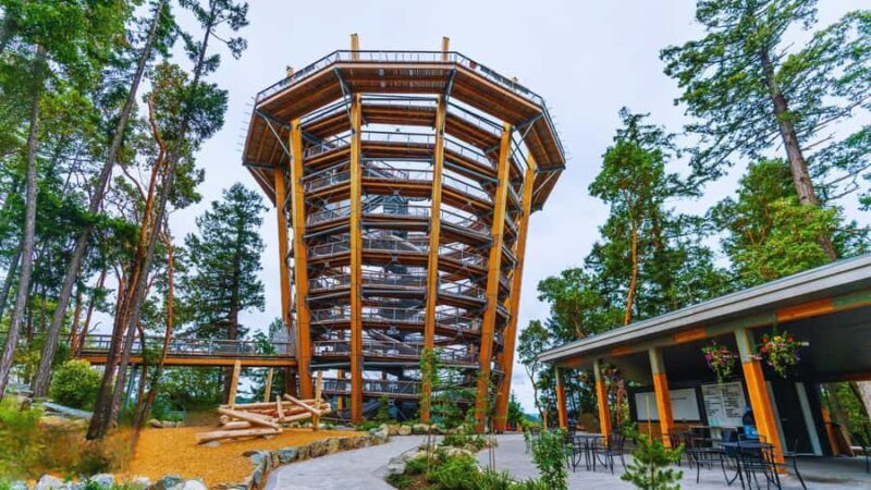 Victoria: Malahat Skywalk & Iconic Landmark Tour - The Value of This Tour