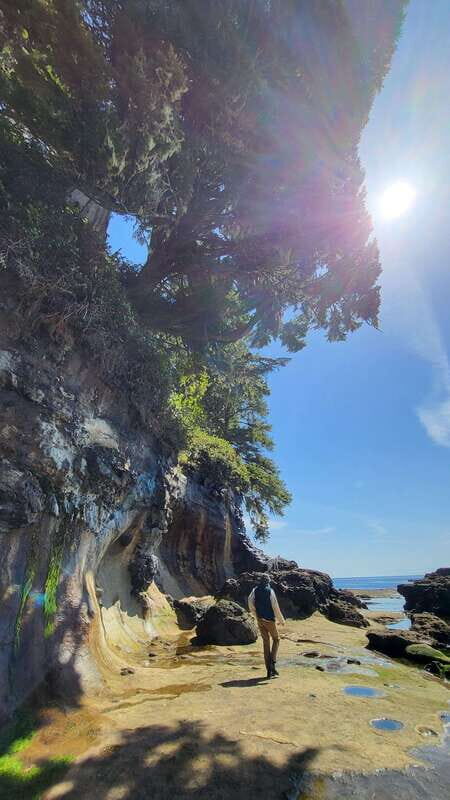 Victoria: Old Growth Rainforest Canyon Waterfall and Beaches - Key Points