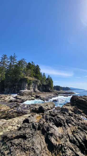 Victoria: Old Growth Rainforest Canyon Waterfall and Beaches - Who Will Love This Tour?