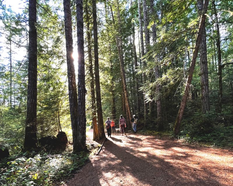 Victoria or Nanaimo; West Coast Big Tree Coastal Adventure - Key Points