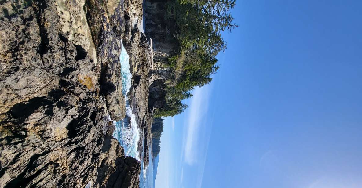 Victoria or Nanaimo; West Coast Big Tree Coastal Adventure - Pickup and Drop-off Locations