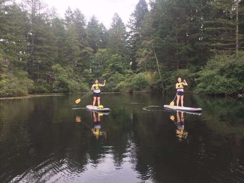 Victoria: Paddle Board Rental with Full Equipment - Who Should Consider This Experience?