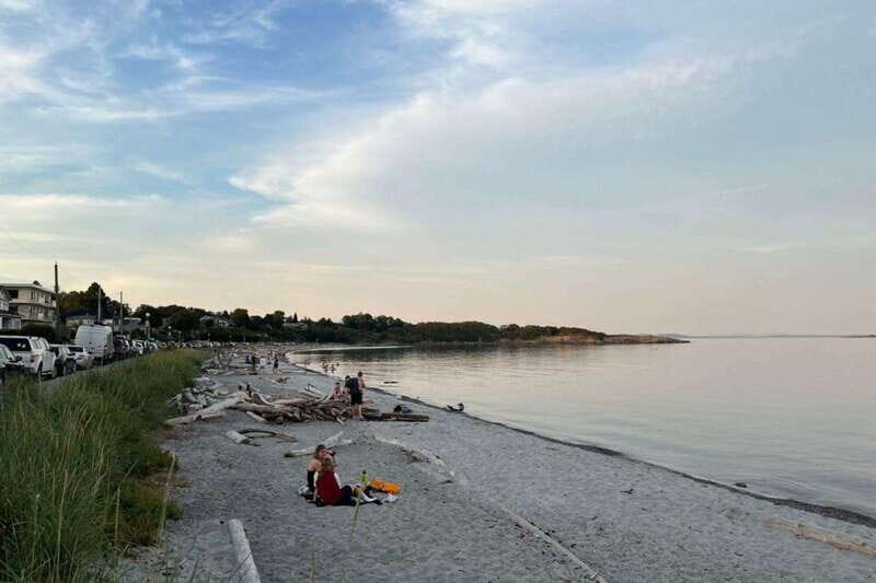Victoria: Paddle Board Tour at Willows Beach - An Authentic Coastal Experience in Victoria