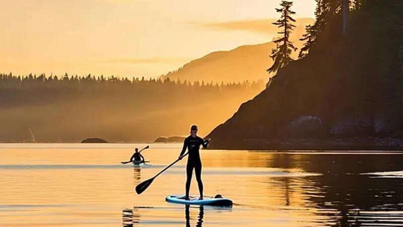 Victoria: Paddle Board Tour at Willows Beach - Scenic Landmarks from a Unique Angle