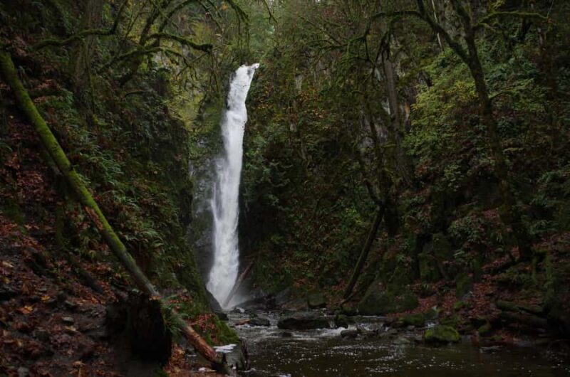 Victoria; Peninsula Butchart Garden, Aquarium and Rainforest - Key Points