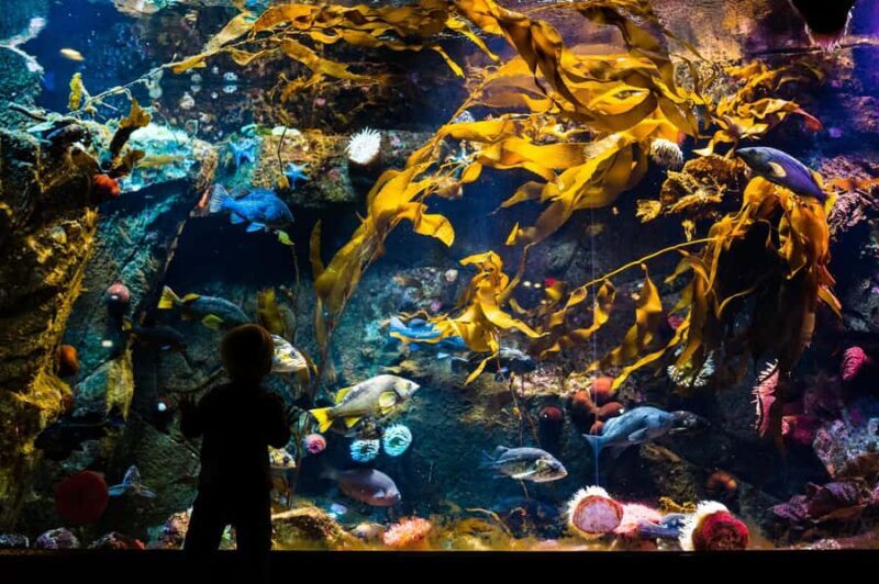 Victoria; Peninsula Butchart Garden, Aquarium and Rainforest - FAQ