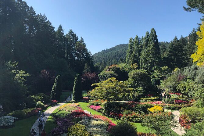 Victoria Private Tour Visiting the City and Butchart Gardens - Key Points