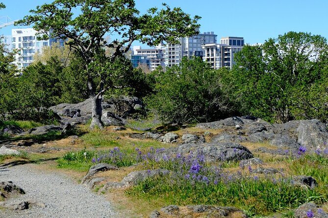 Victoria Seaside Splendors Trail Walking Tour - The Sum Up