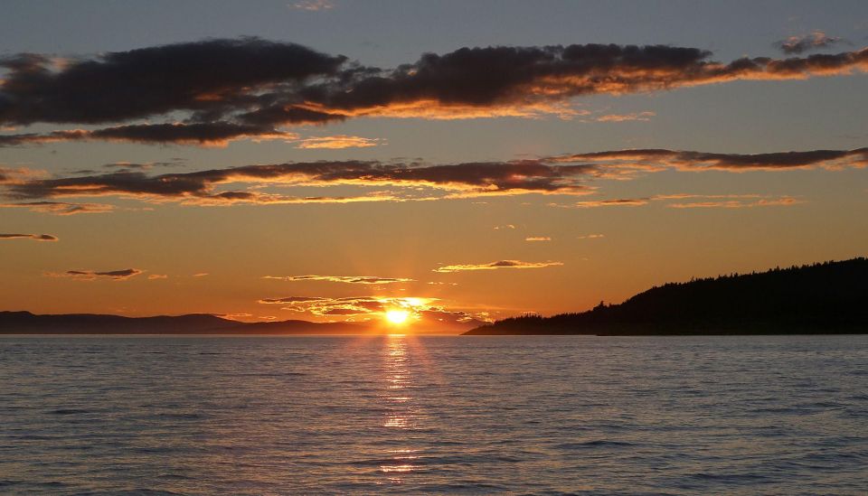 Victoria: Sunset Whale Watching Tour on Semi-Covered Boat - Wildlife Sightings