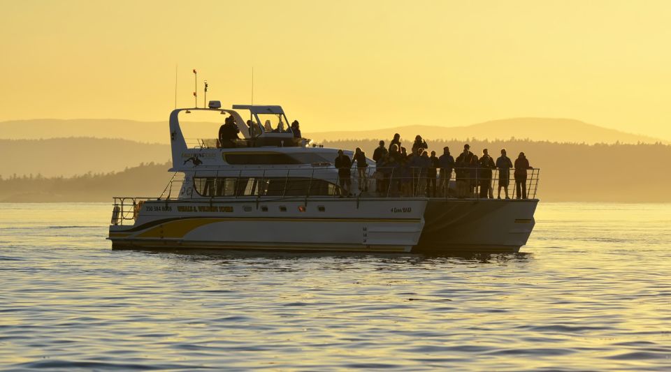 Victoria: Sunset Whale Watching Tour on Semi-Covered Boat - Frequently Asked Questions