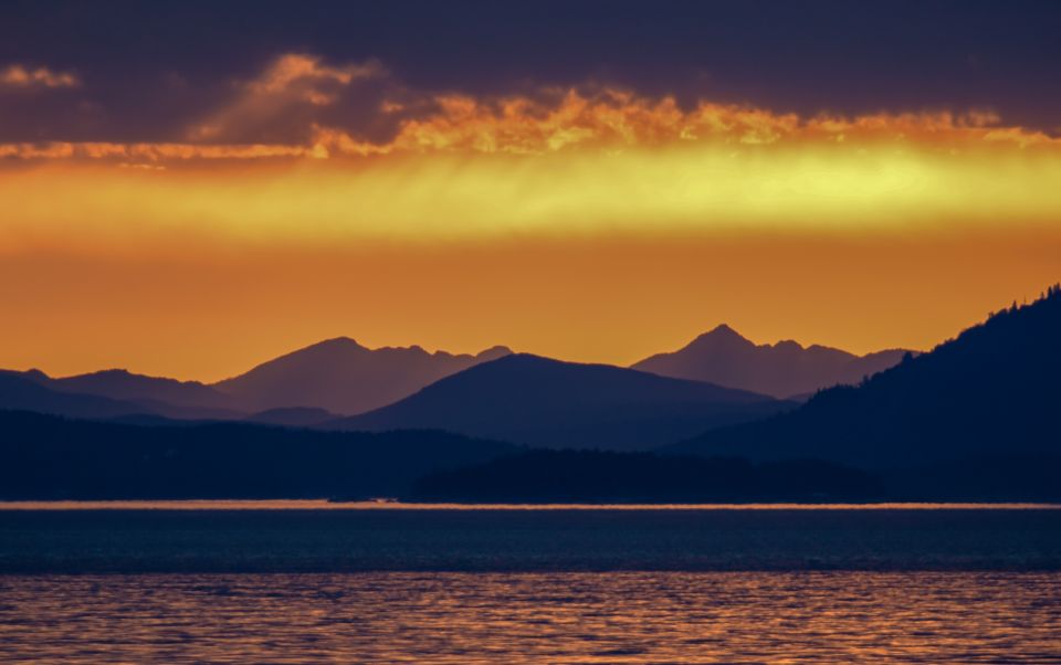 Victoria: Sunset Whale Watching Tour on Semi-Covered Boat - Activity Duration and Availability