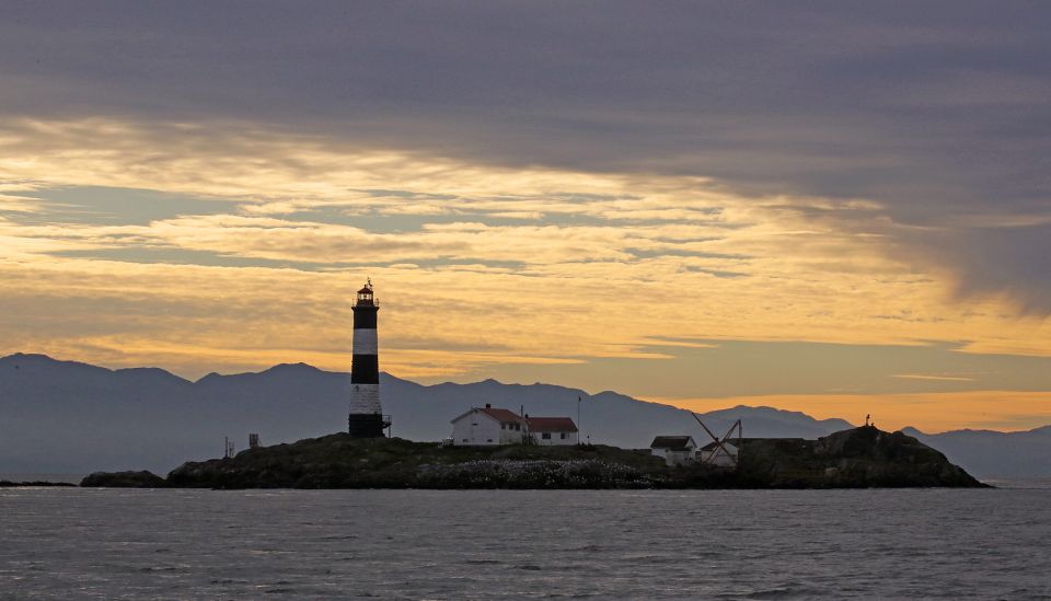 Victoria: Sunset Whale Watching Tour on Semi-Covered Boat - Whales, Seals, and Eagles Sightings