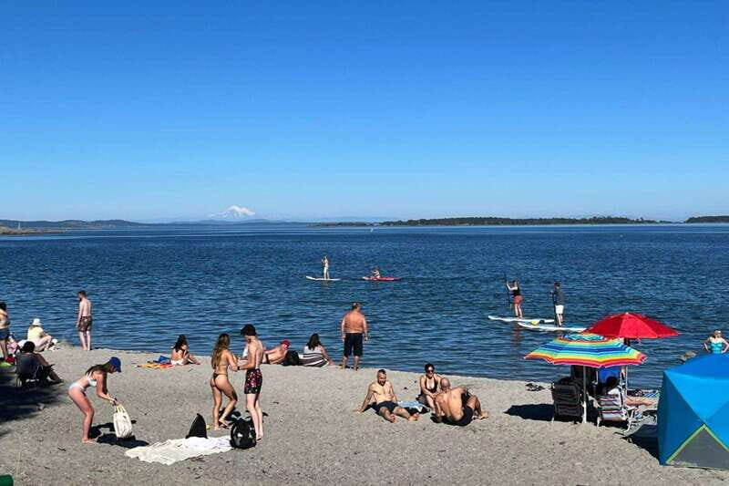 Victoria: Upper Gorge Waterway Paddle Boarding Tour - Key Points