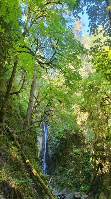 Victoria Waterfall, Skywalk, Beach Picnic, Castle and Whales - Who Should Consider This Tour?