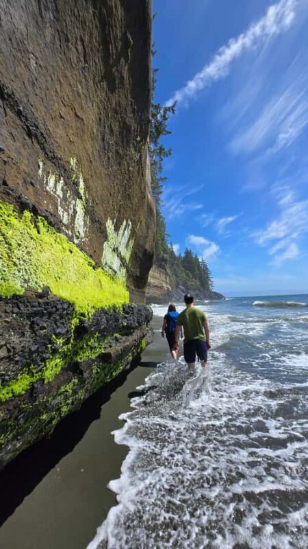 Victoria West Coast Wildlife, Old Growth and Waterfalls - An In-Depth Look at the Tour Experience