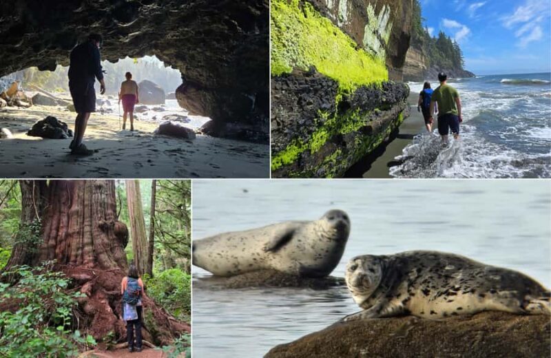 Victoria West Coast Wildlife, Old Growth and Waterfalls - Practical Details & Tips