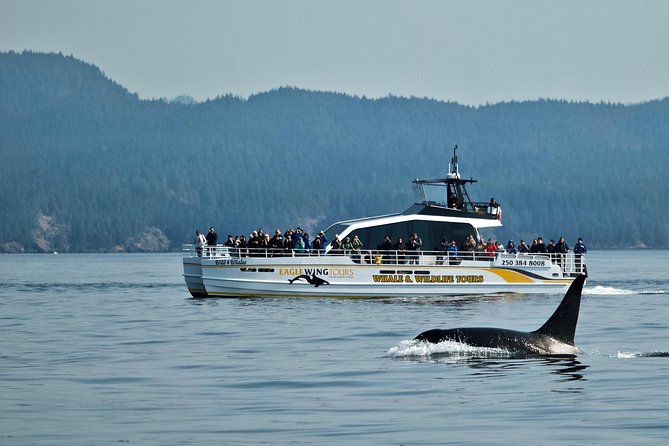 Victoria Whale and Wildlife Cruise - Tour Details and Inclusions