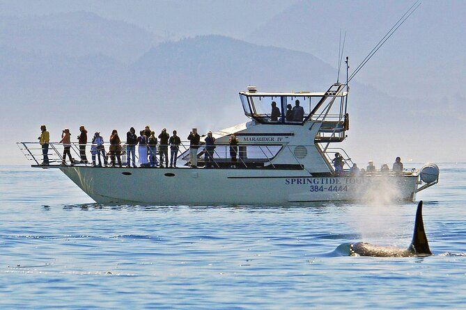 Victoria Whale Watch Tour - Educational Experience