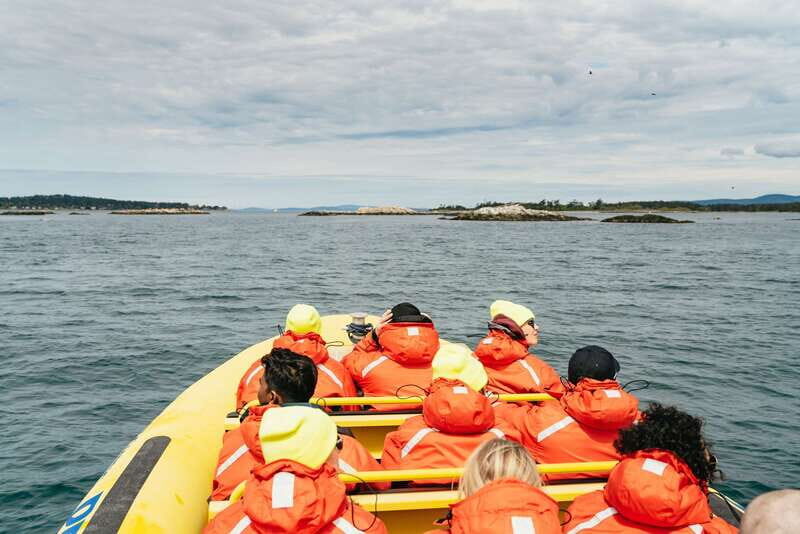 Victoria: Whale Watching Adventure in a Zodiac Boat - An In-Depth Look at the Experience
