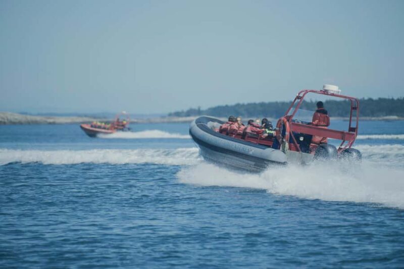 Victoria: Whale Watching Marine Wildlife Excursion Zodiac - FAQ