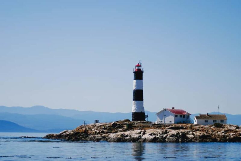 Victoria: Winter Wildlife Tour with Hot Drinks - Final Thoughts