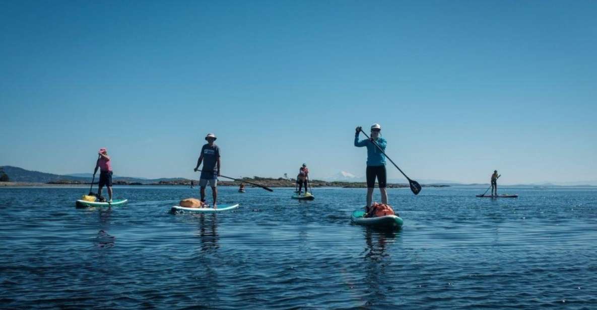 Victoria,BC: Learn to SUP and Tour - Waiver Requirement