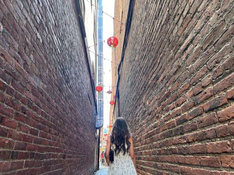 Victoria's City Highlights - Half Day Private Tour Excursion - Key Points