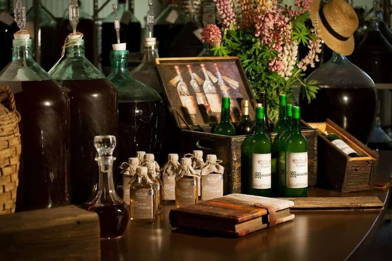 Vidzeme wine tasting tour - A Closer Look at the Vidzeme Wine Tasting Tour