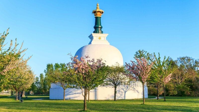 Vienna: 2-hour Danube Panorama Tour (Cruise Only) - What to Expect from the Vienna Danube Panorama Tour