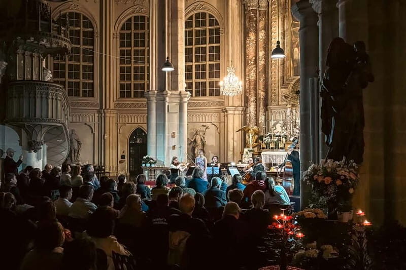 Vienna: Advent, Christmas and New Year's Concerts - Price and Value