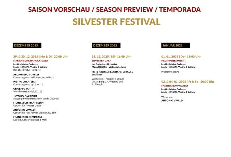 Vienna: Advent, Christmas and New Year's Concerts - Final Thoughts: Who Should Consider This Tour?