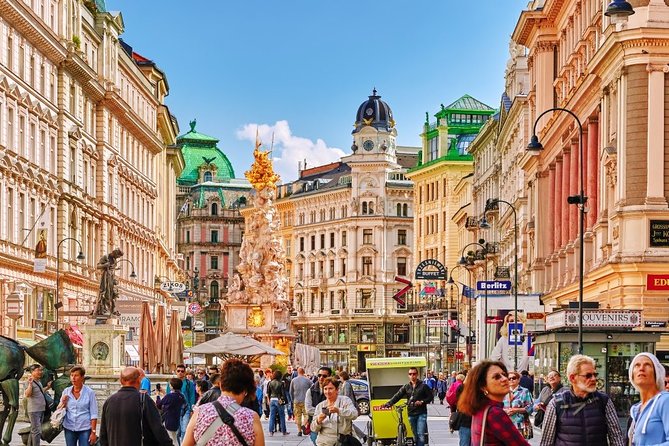 VIEnna Arrival Private Transfers From VIEnna Airport VIE to VIEnna City - Additional Service Information