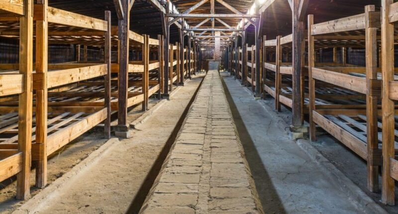 Vienna: Auschwitz Birkenau Full-Day Tour w/ Hotel Transfers - Why This Tour Is Worth Considering