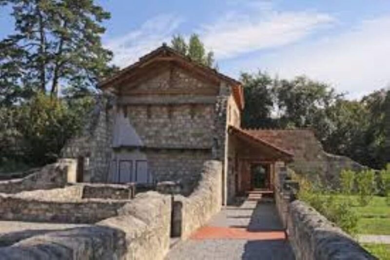 Vienna: Carnuntum Roman city tour with guide - What Travelers Say